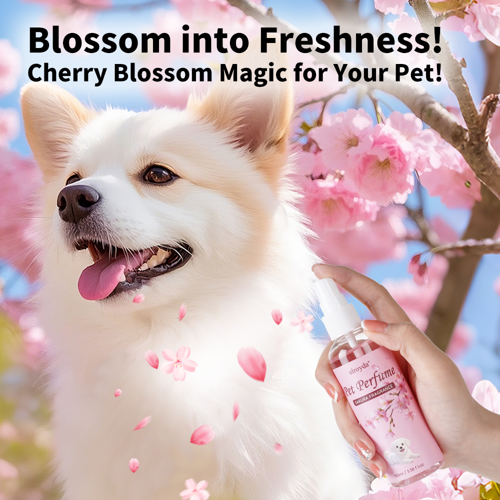 Cherry Blossom Dog Perfume Spr - Perfume Fragrance Moisturizer บทวิจารณ์และราคา