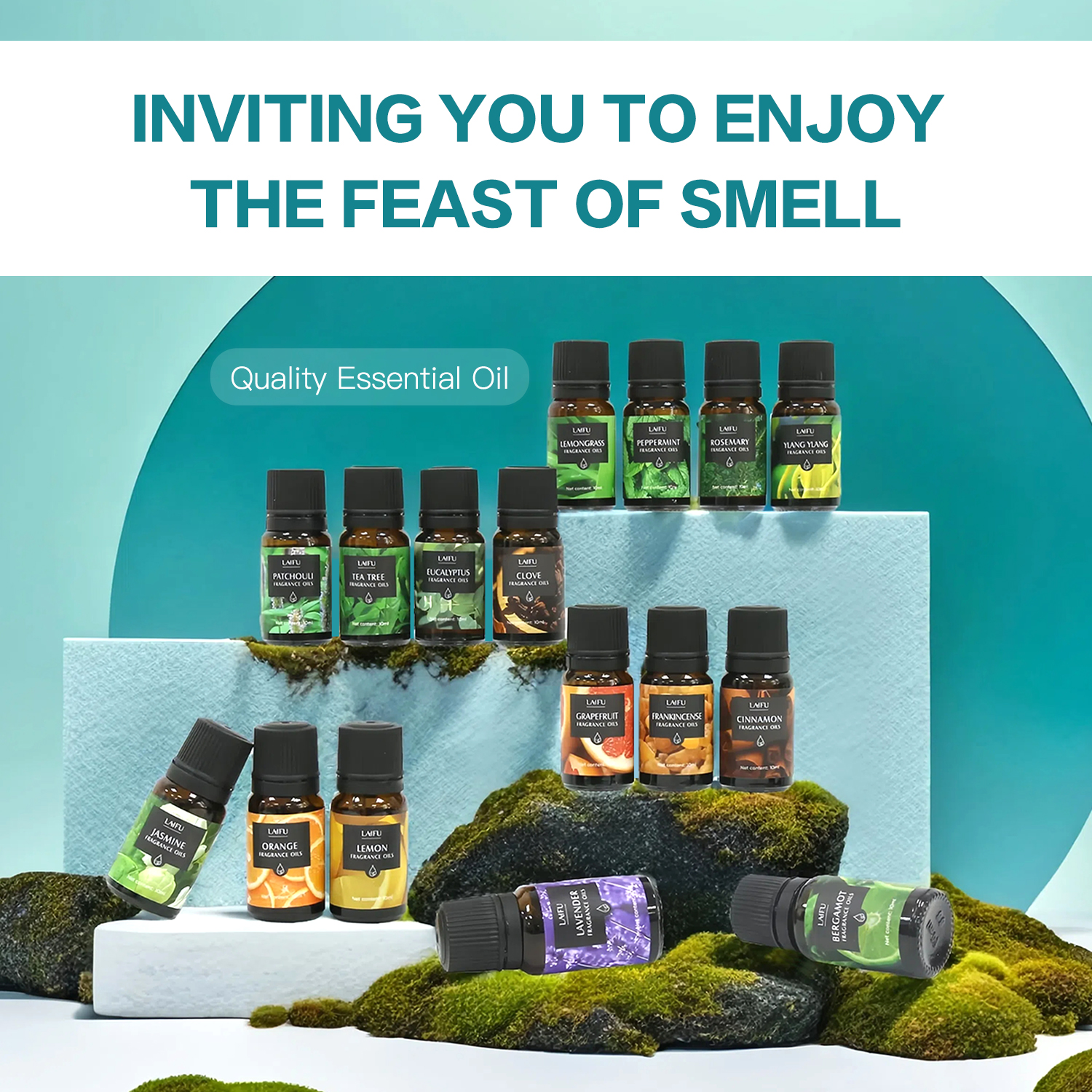 16x10ml Essential Oils Set for - Perfume Fragrance Oils For Candles บทวิจารณ์และราคา