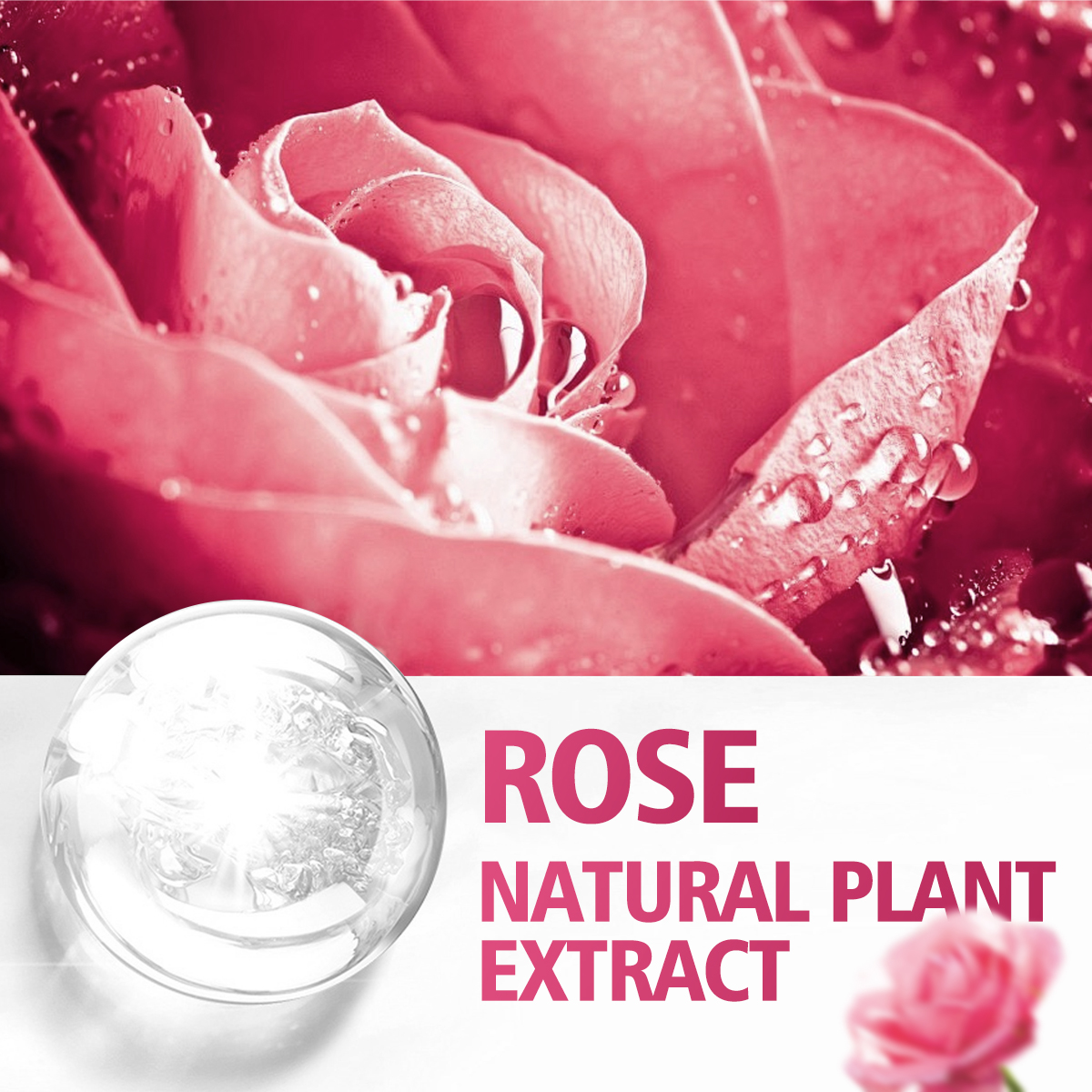 100ml/60ml/30ml rose essential - Perfume Fragrance Moisturizer บทวิจารณ์และราคา